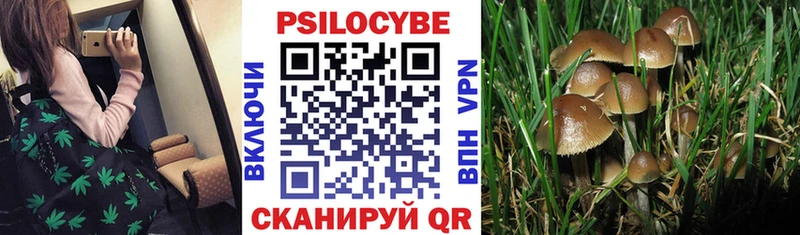 где купить наркотик Константиновск blacksprut как войти Галлюциногенные грибы ЛСД